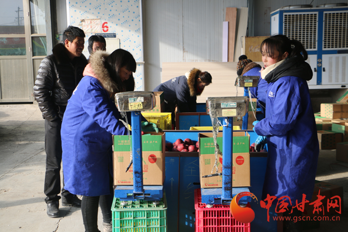 礼县电商苹果,礼县苹果走向世界