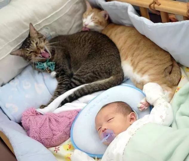 早fun｜新年伊始乙型流感成主角请收好这剂中药方！