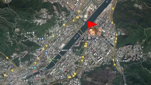 香港好吃的蛋挞,在香港吃蛋挞不用钱只需一招