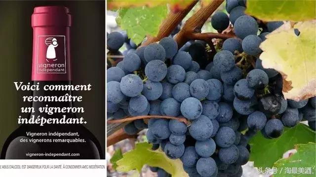 都在这儿了，史上最全的各国酒标详解！