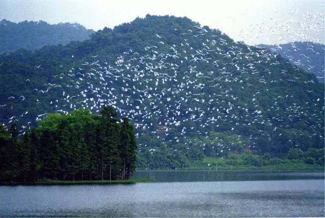 世界首创“船上温泉”，白鹭齐飞，逛法国风情小镇，深圳2.5h即到