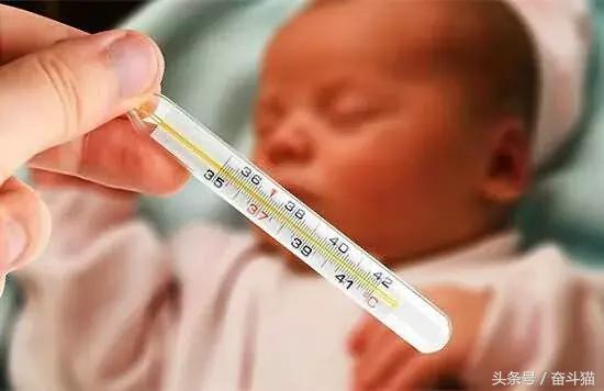 奋斗猫：作为O2O最重要的一环，“跑腿”这块肥肉该怎么吃？