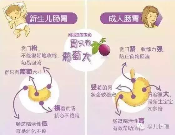 不容错过,1岁内宝宝肠胃的保健大全