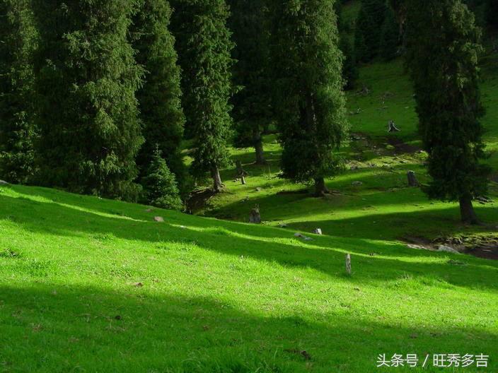 自驾徒步乌孙古道徒步路线图,徒步旅行日记