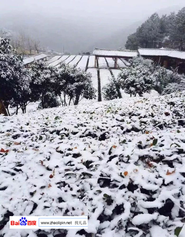 朋友圈晒雪,朋友圈晒雪景大赛
