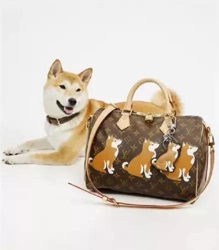 狗年新年限定款,亮瞎狗眼的狗年限量款