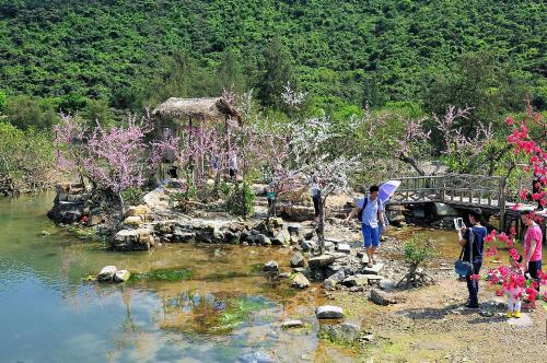 六安月亮岛岸边,六安月亮岛明珠