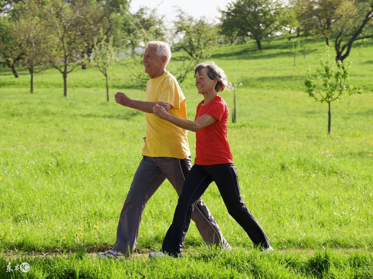 腰椎间盘突出会引起膝关节僵硬吗,腰椎间盘突出健康科普视频