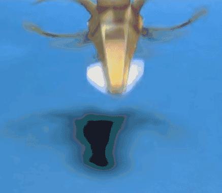 天才纸匠大师中村開己,玩转与众不同的纸艺