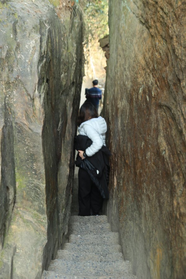 神奇美丽的张家界,张家界大自然仙境长视频