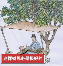 诗经中最唯美的名字,王姓女孩诗经中最唯美的名字