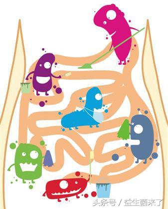 有没有常温保存的活性益生菌,活性益生菌常温可保存多久