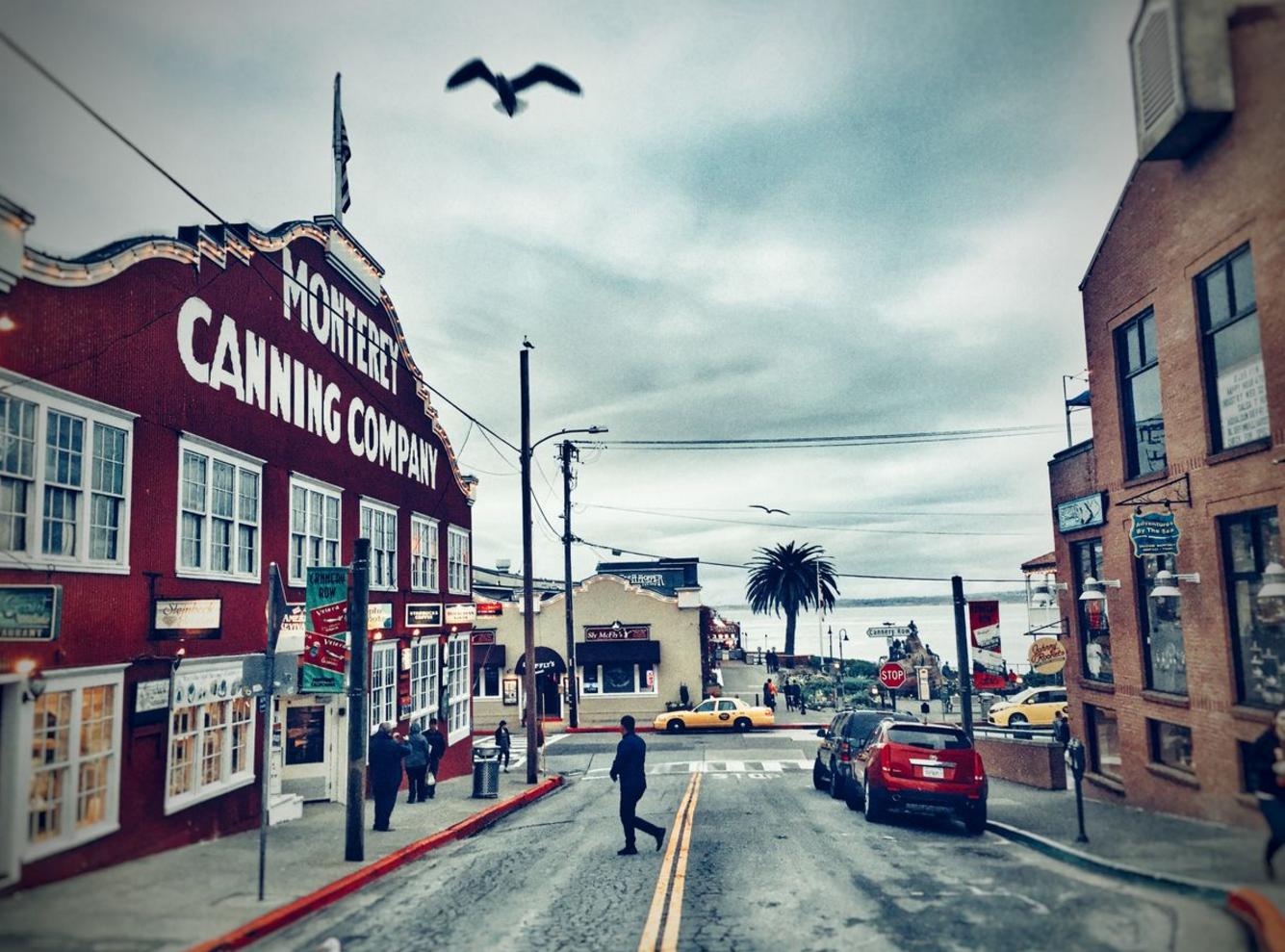 城市心,美国旧金山科技之都