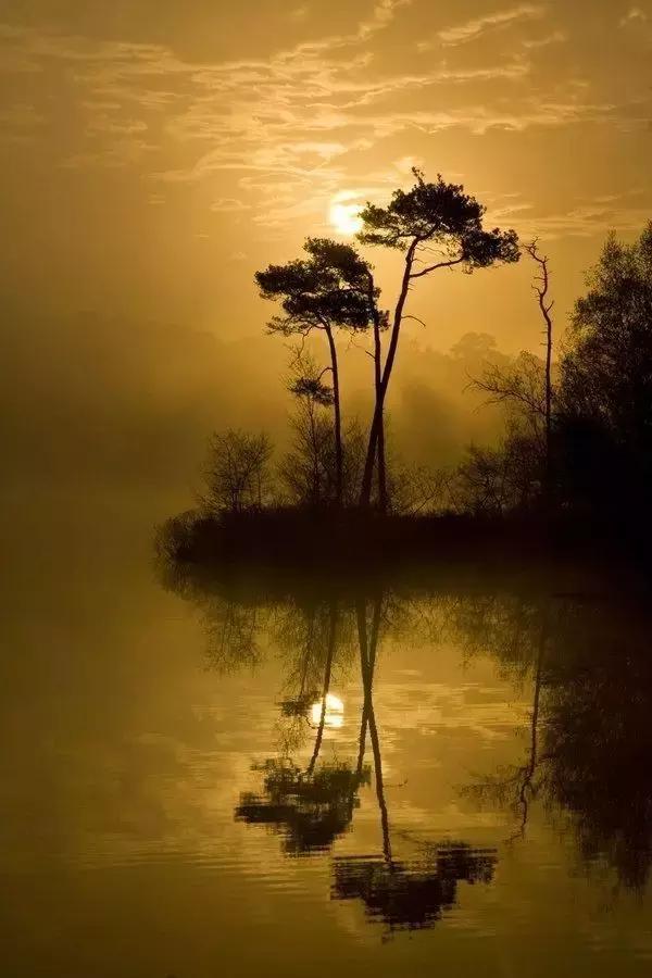 是风动亦是怦然心动,是风动亦是心动原声