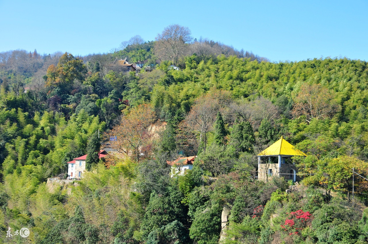 金三角的三绝：*粟罂**、和尚、人妖