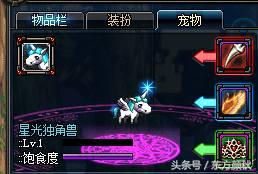 dnf绝版宠物都有哪些,dnf最好的三个宠物