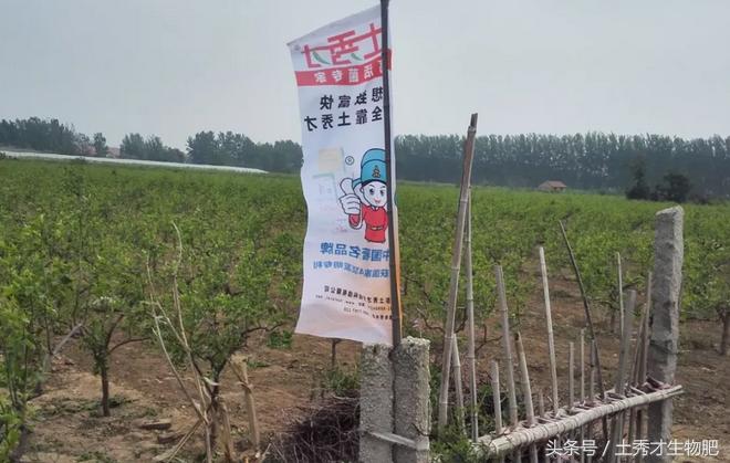 山东品牌故事,品牌故事完整版视频