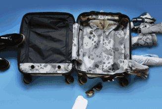 游轮旅行一般花费多少钱啊,游轮旅行费用双人