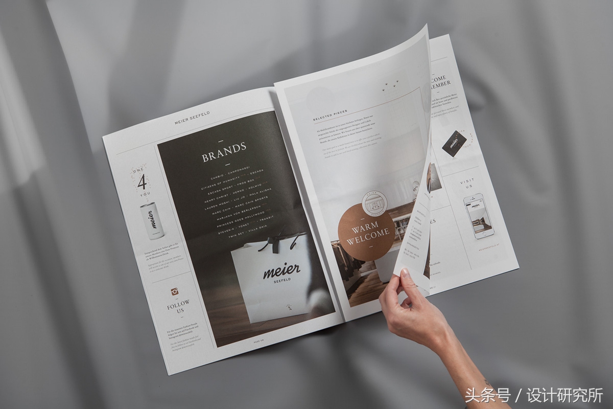 国外TheMeierPaper报纸设计欣赏