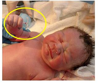 港真，从备孕到怀孕，你花了多长时间？