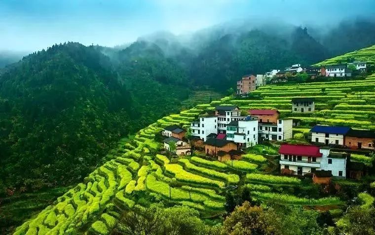 2018年浙江地方景点旅游日历大合集！含杭州，建德，温州，金华！