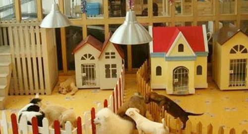 宝宝四个月妈妈感冒了怎么办,四个月宝宝感冒咳嗽要去医院吗