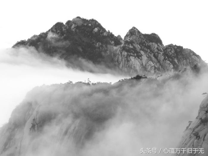 掌中八卦运用在哪,掌中八卦对应的含义