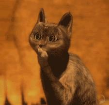 深挖一个超牛的搭配，解锁美白新思路