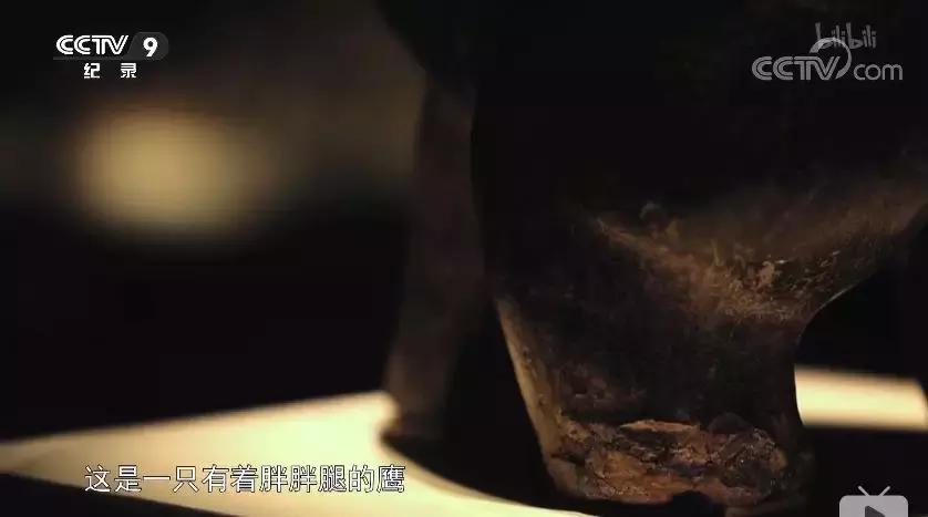 一部国产纪录片弹幕居然全是哈哈哈哈哈哈哈