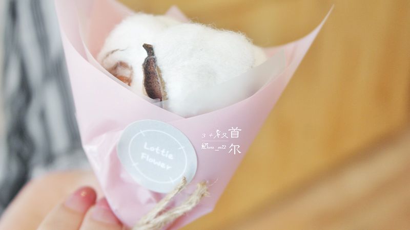 再游首尔，爱上那些不期而遇的美（一）