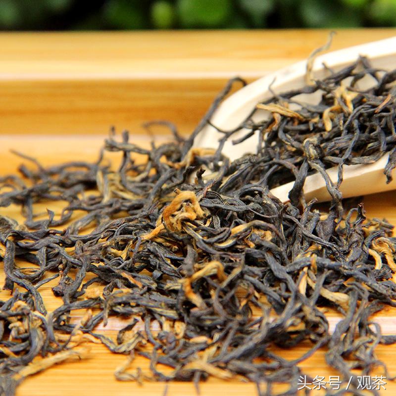 安徽茶全国十大名茶,十大名茶之一的安徽茶