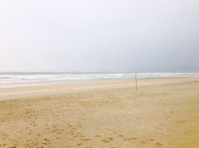 江门小鸟的天堂旅游攻略,江门小鸟天堂附近免费游玩的地方