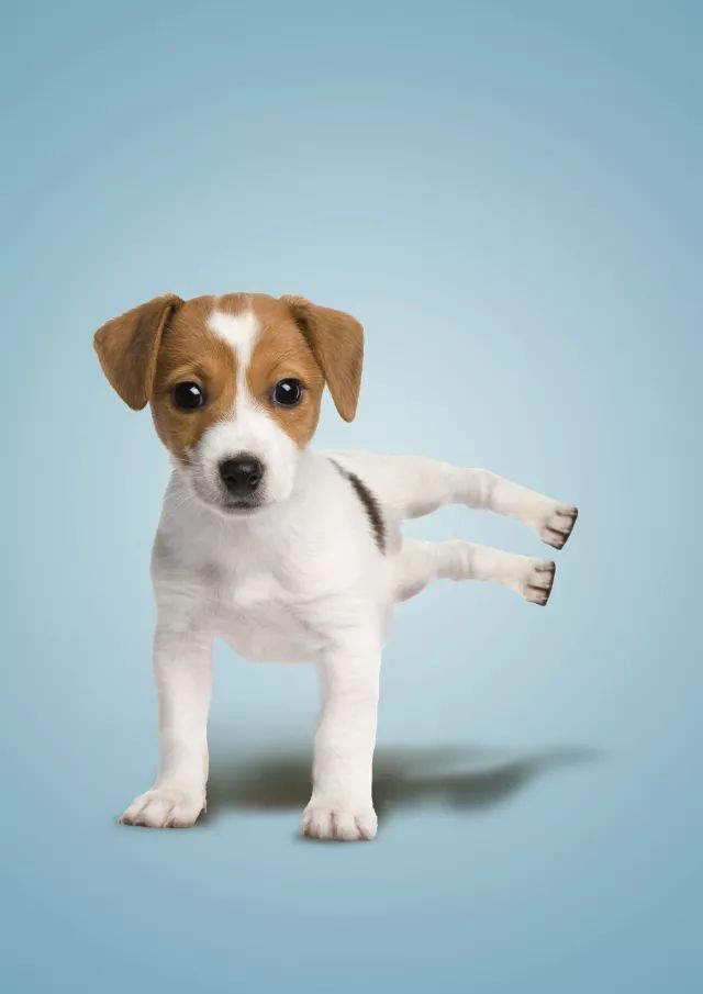 剪映专业版蒙版两张图片怎么融合,蒙版两张上下图片怎么融合