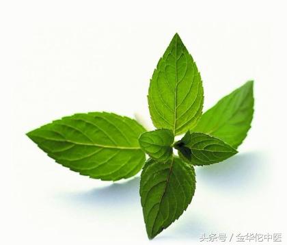 最新流感病毒病防治药剂,2024年流感病毒爆发期如何预防