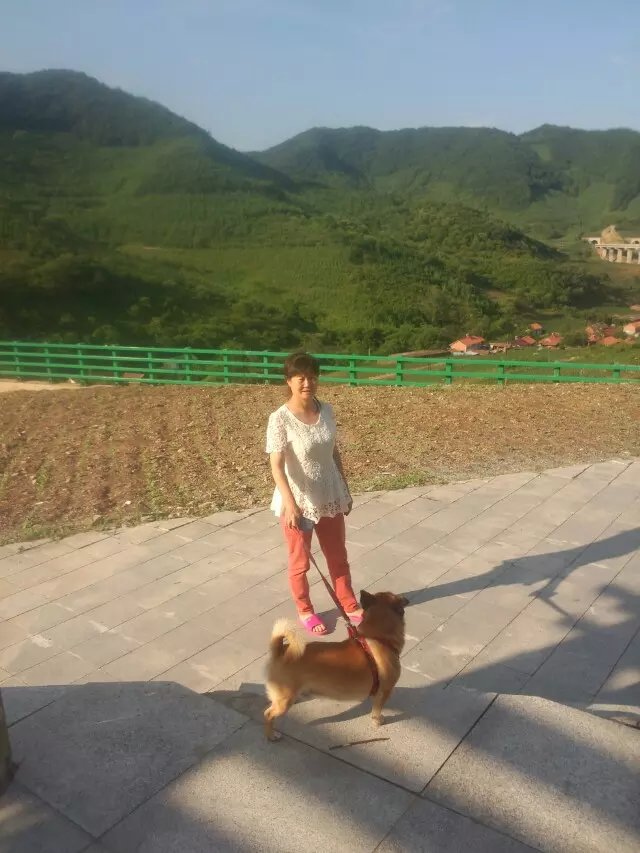 浪漫的集体露营,浪漫的第一次