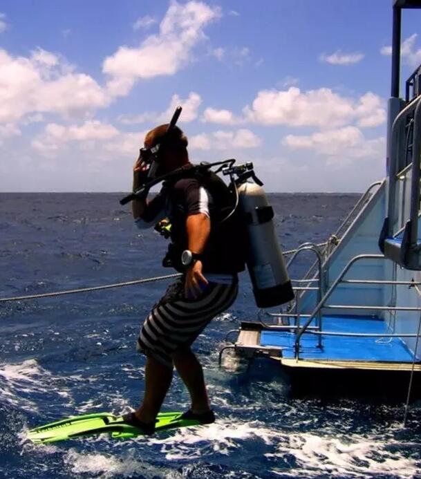 海参有上千种都是一样的吗,全世界海参有多少品种