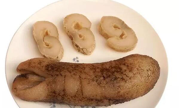 海参也有很多种,全世界所有可以吃的海参