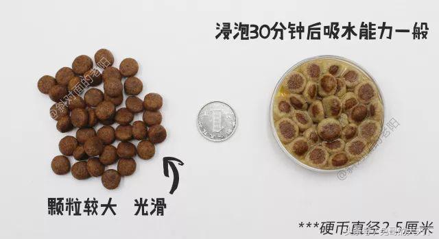 河北宠粮怎么样,河北宠粮