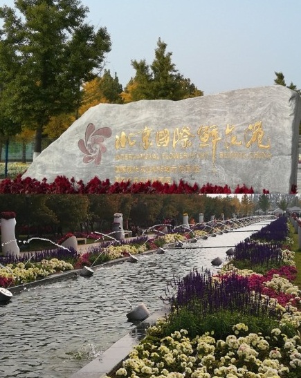 北京国际鲜花港直播,北京国际鲜花港可以带狗狗吗