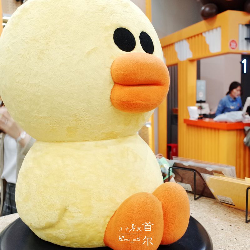 再游首尔，爱上那些不期而遇的美（二）