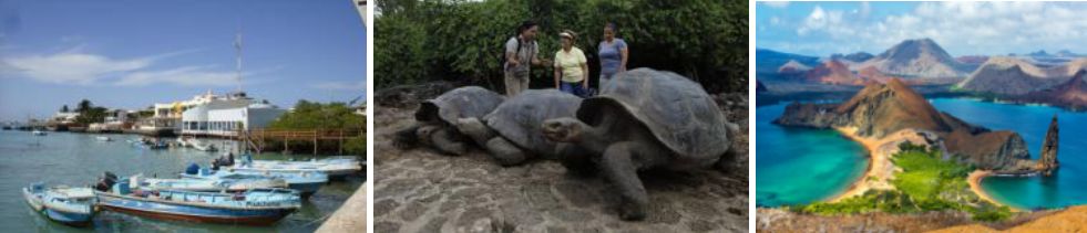 老袁全国自驾游,老袁自驾游视频
