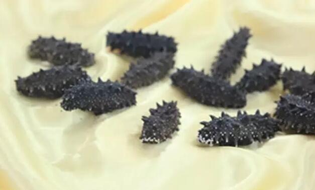 带您了解世界海参,你知道全球有多少种鲨鱼吗