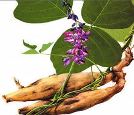 农村十大赚钱的项目,农村5个致富种植项目