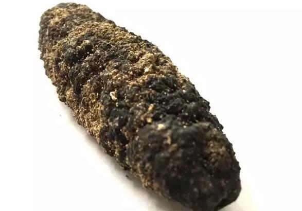 海参也有很多种,全世界所有可以吃的海参