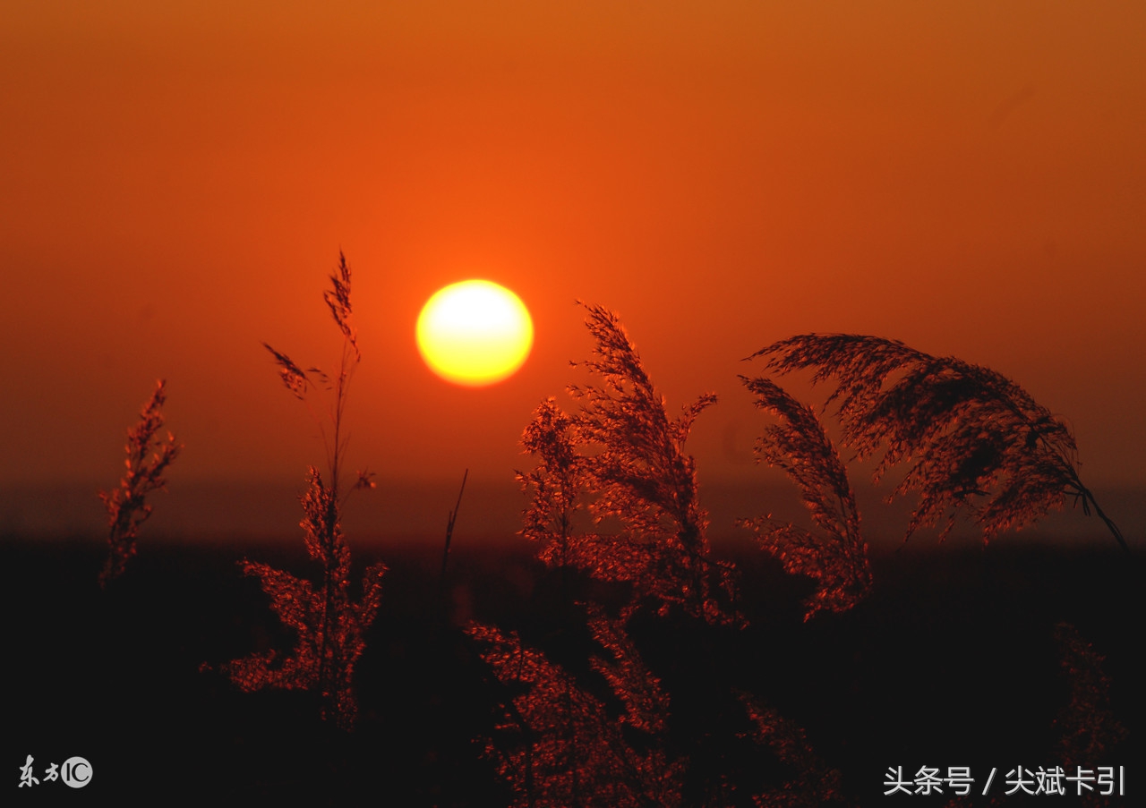 人生来就是要历劫和受苦的,人生在世就是来受罪的