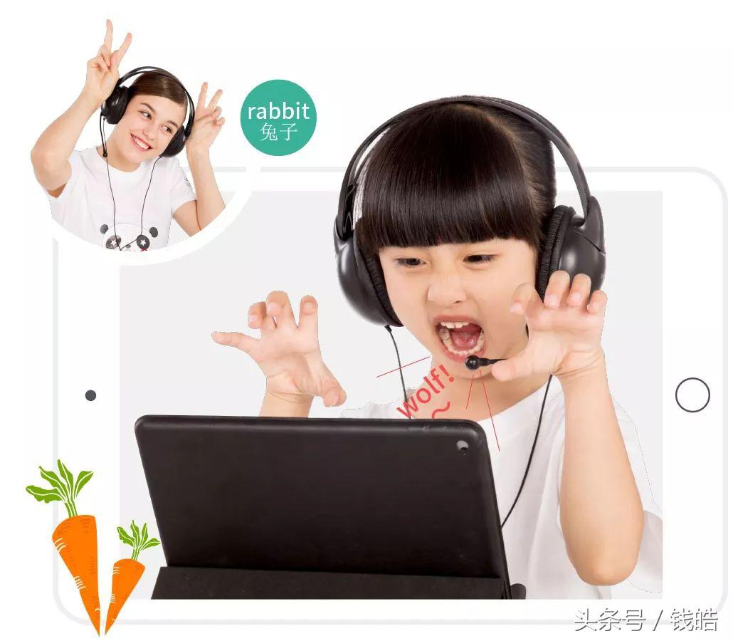 老虎环球科技风投基金,老虎环球基金领投