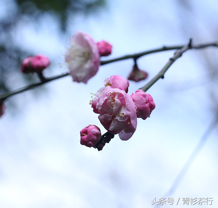 方便鞋带，泡之爽然然