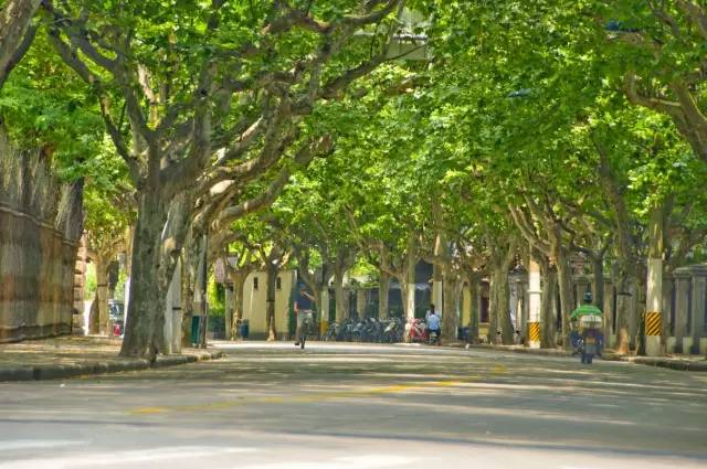 魔都最值得逛的76条马路,你都逛过了吗?