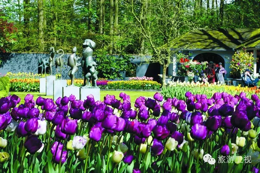 已经开放旅游签证申请的国家,现在开放旅游签证的国家