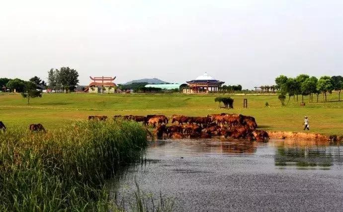 2018年你将要收到37比打款，还不来看看！